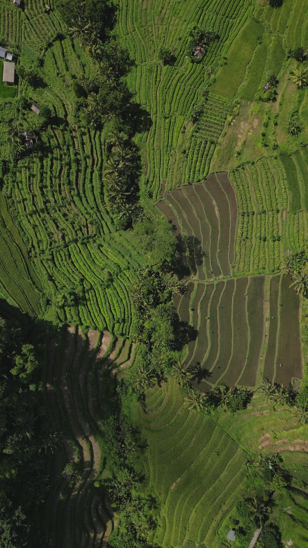 Bali hors cadre